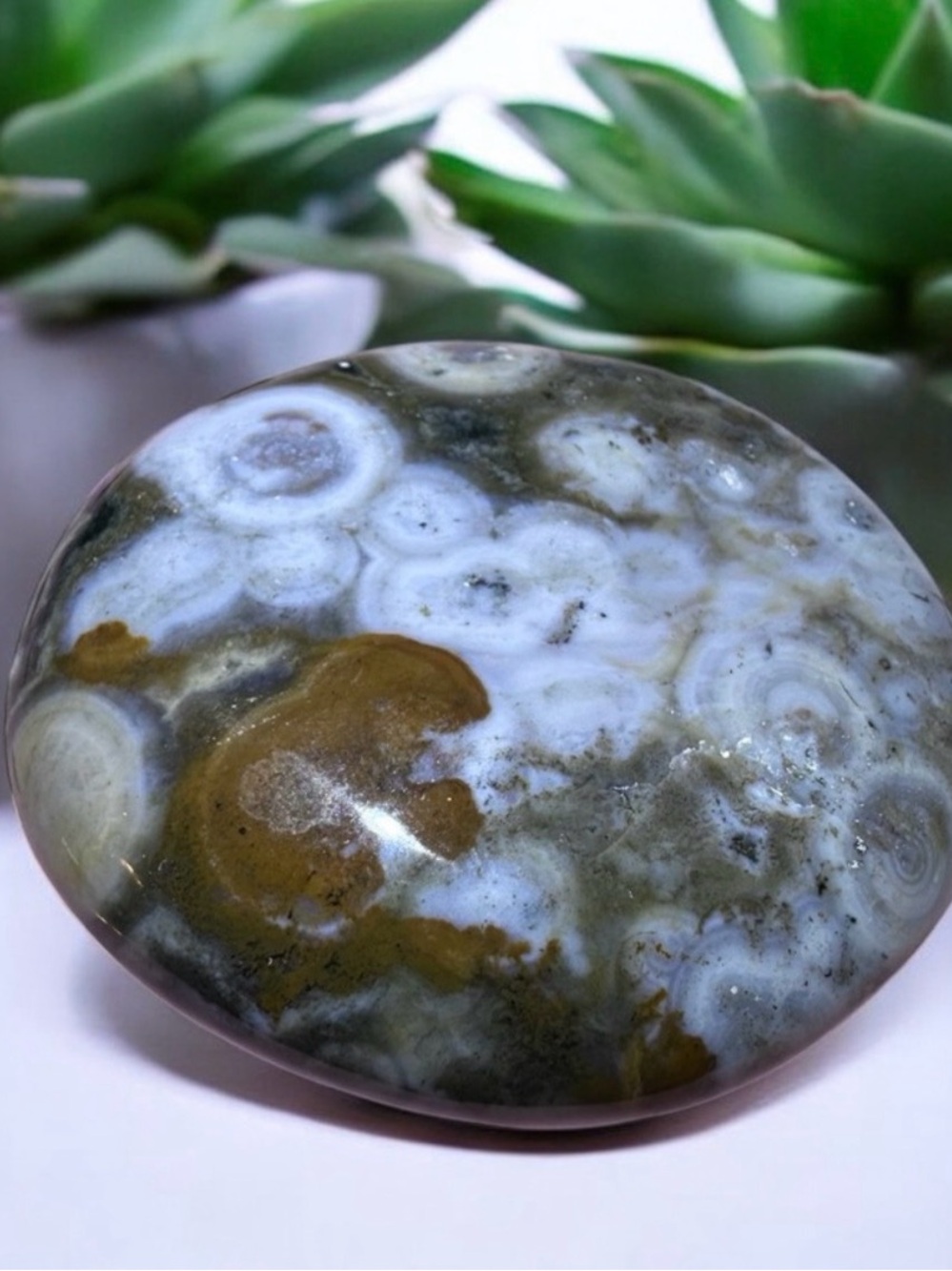 Polished Ocean Jasper Decorative Palm Stone - Green and White